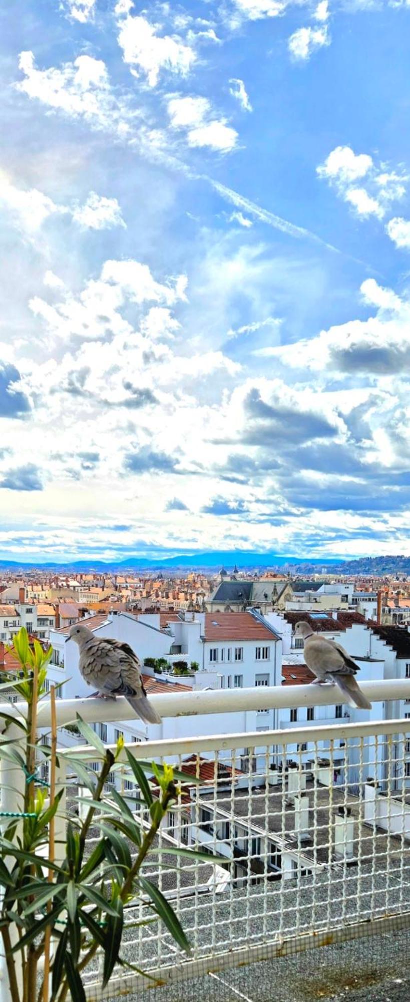 Plein Sud Terrasse Climatisation Garage Netflix Apartment Lyon Exterior photo