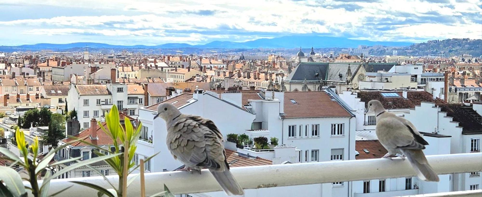 Plein Sud Terrasse Climatisation Garage Netflix Apartment Lyon Exterior photo