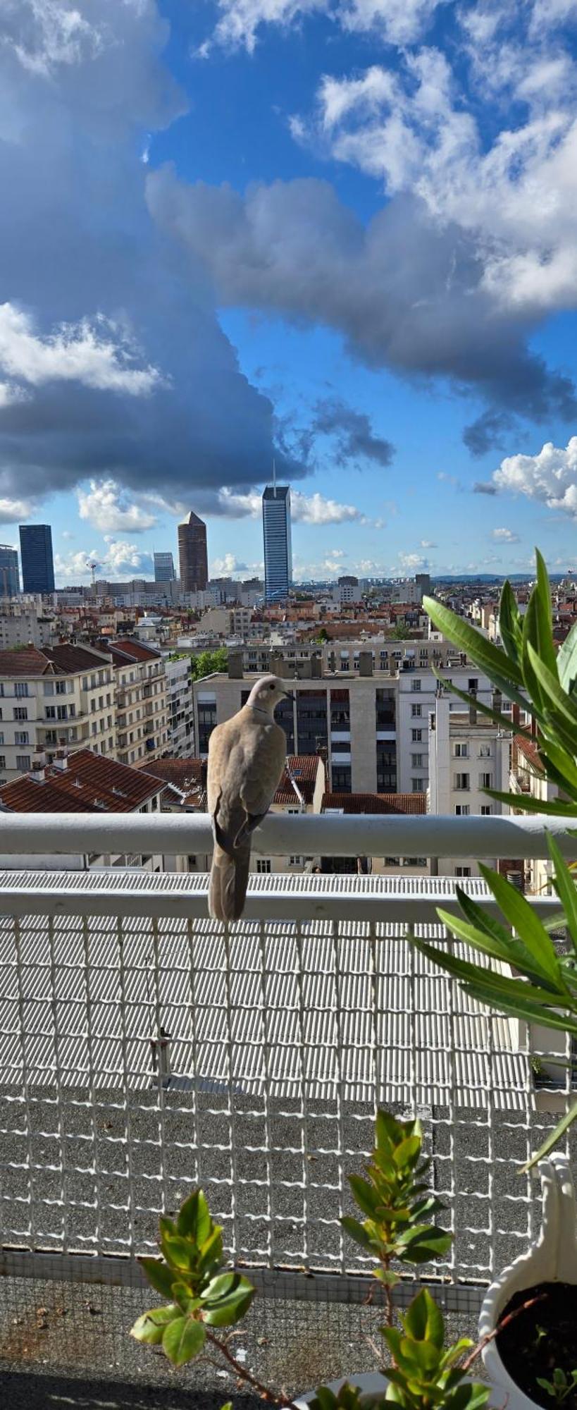 Plein Sud Terrasse Climatisation Garage Netflix Apartment Lyon Exterior photo